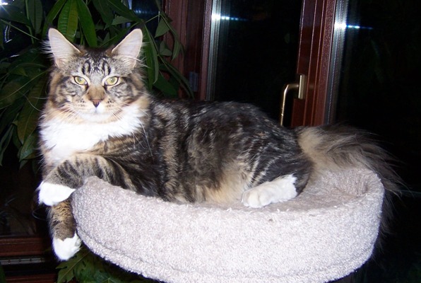 Zidan mit 10 Monaten / ten months old