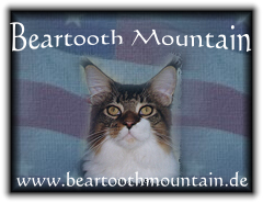 beartoothmountain