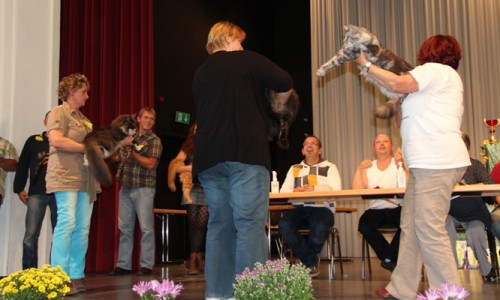 Ich bin nominiert für Best in Show. (((I am nominated for Best in Show.)))