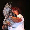Ich strenge mich an. Der ältere Kater war aber doch noch etwas besser als ich. (((I am trying the best I can. However, the older male cat was just a bit better than me still. )))