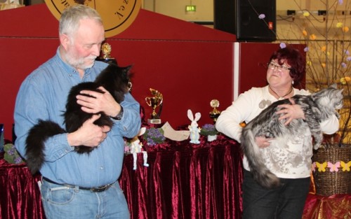 Best in Show Issi und Dumas