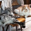 IMG_0679 - Kopie