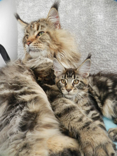 Vater und Tochter ............