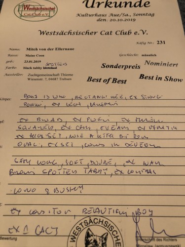 Bei Papa Cyril (Weltchampion 2008)  bis 2011 öfter erlebt - dann haben wir unseren Publikumsliebling nur noch zu Werbeshows gezeigt.